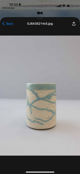 Under the Sea Tall Cup