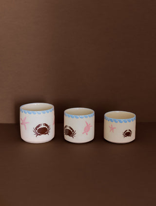 Bahar Cup